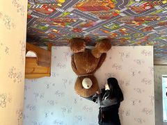-金山农民画村-枫泾波兰倒置屋