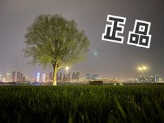 -武昌江滩