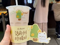 -猫的魔法密林(衣裳街店)