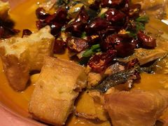 -柿合缘新京菜(国金中心商场店)