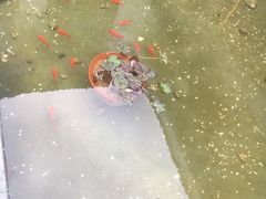 -斯通泰伯酒店-餐厅