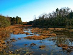 -上海海湾国家森林公园