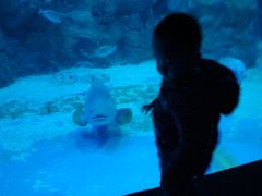 -威海华夏城景区