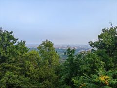 -紫金山山顶公园