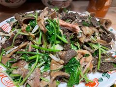 芫爆肚丝-清真·老门框爆肚涮肉·中华老字号(丰管路店)