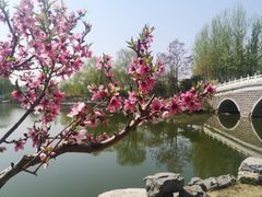 -大兴滨河森林公园