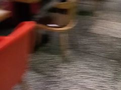 -蛙小侠(珠海华发商都店)