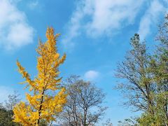 -崂山九水游览区