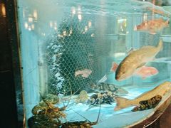 -顺意·顺德家乡菜(国际人才大厦店)