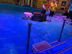 -烟台海昌鲸鲨海洋公园