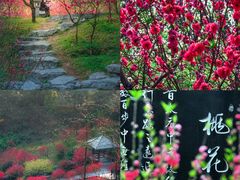 -桃花涧