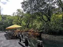 -巍阁月子中心(南山店)