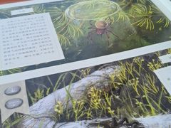 -西西弗书店&矢量咖啡(万象城店)