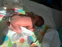 -大连市妇女儿童医疗中心集团(春柳妇产院区)