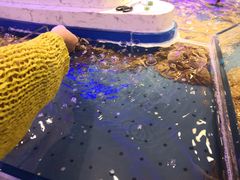 -澜悦港海鲜体验主题餐厅