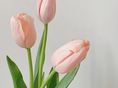 -花邻FloweringLife花艺气球派对(武康大楼店)