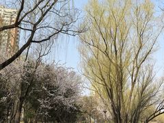 -南长河公园