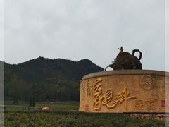 -龙坞茶村
