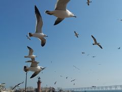-星海广场