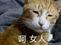 -瑞鹏宠物医院·骨科·猫科·内科(第一中心)