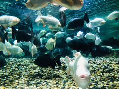 -成都浩海立方海洋公园