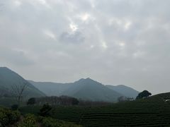 -帐篷客·溪龙茶谷度假酒店