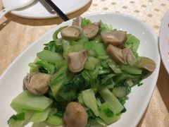 草菇盖菜-马凯餐厅(长椿街店)