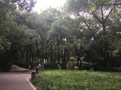 -食膳公园包子铺(烈士公园店)