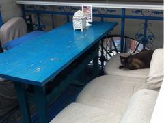 樓上-Sirena海妖日咖夜酒