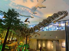 -甘肃地质博物馆