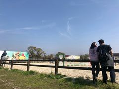 -松声马术俱乐部