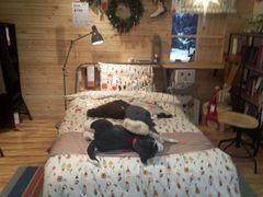 -宜家家居(哈尔滨商场店)