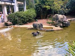 -黔灵山公园
