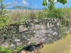 -丰盛镇响水水库