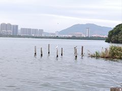 -厦门园林博览苑