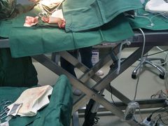 -美联众合宠物医院·爱萌分院·内外科·猫科中心