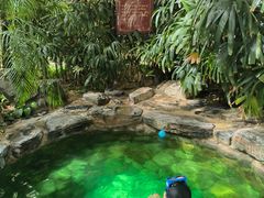 -中家鑫园温泉酒店鑫悦汤泉