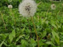 -香山公园