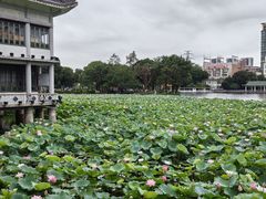 -荔湾湖公园
