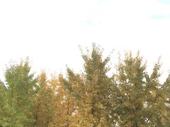 -汉景帝阳陵博物院