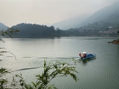 -广州市流溪河国家森林公园