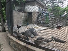-晶宝温泉农庄