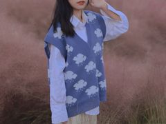 -王借岗森林公园