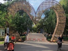 -长白岛森林公园