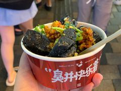 -黑色经典臭豆腐·湖南特产(步行街店)