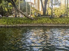 -晓港公园
