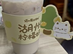 -猫的魔法密林(衣裳街店)