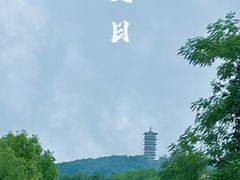 -紫蓬山国家森林公园