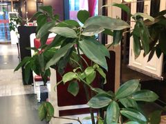 -老牌坊鲁菜名店(宽厚里店)