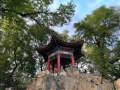 -莲湖公园